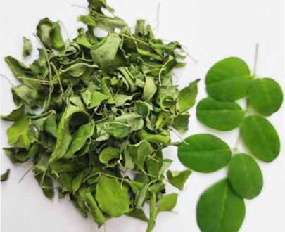 MORINGA LEAVES