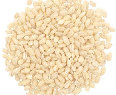 PEARLED BARLEY