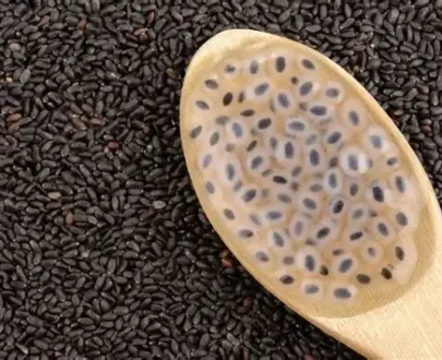 BASIL SEEDS/ SABJA/ TUKMARIA