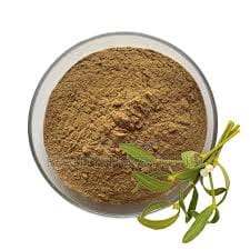 MISTLETOE LEAF POWDER