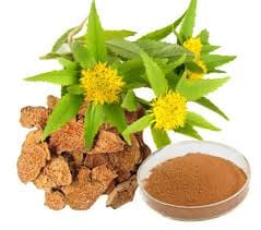 RHODIOLA ROSEA POWDER