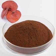 REISHI MUSHROOMS EXTRACT POWDER